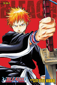 Bleach 3-in-1 Volume 01