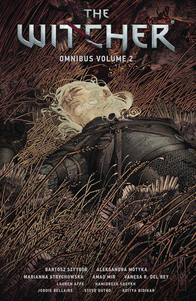 Witcher Omnibus Volume 02