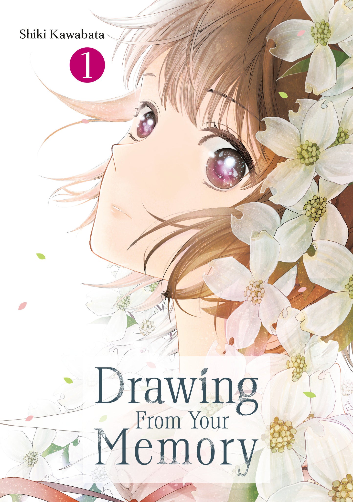 Drawing From Your Memory Volume 01
