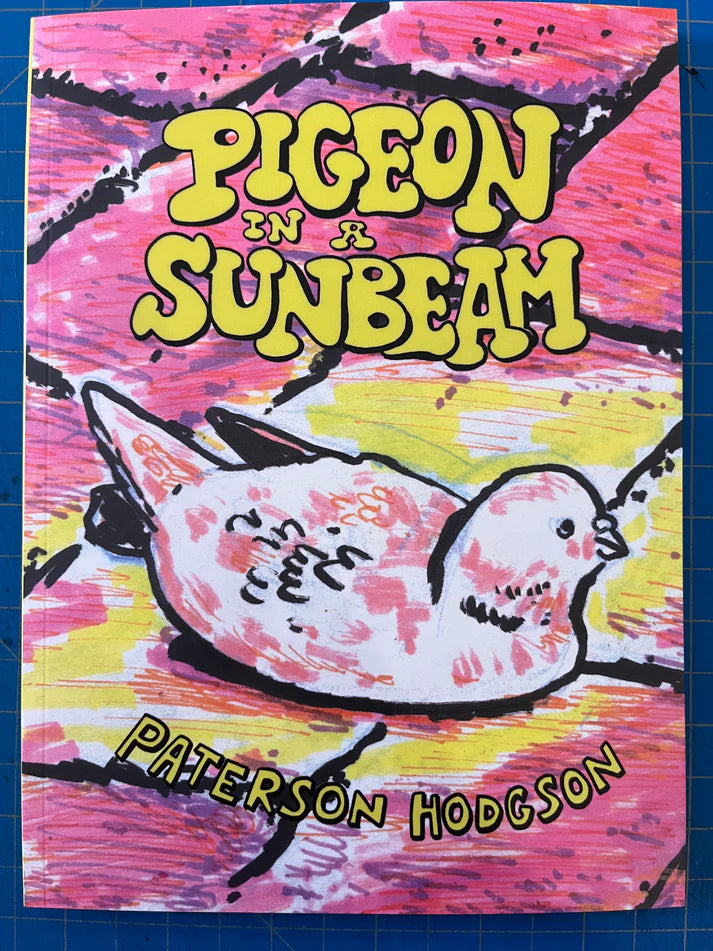 Pigeon In A Sunbeam