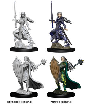 D&D Unpainted Female Elf Paladin (WV9)