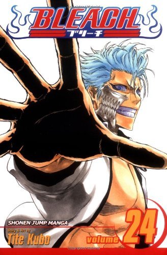 Bleach Volume 24