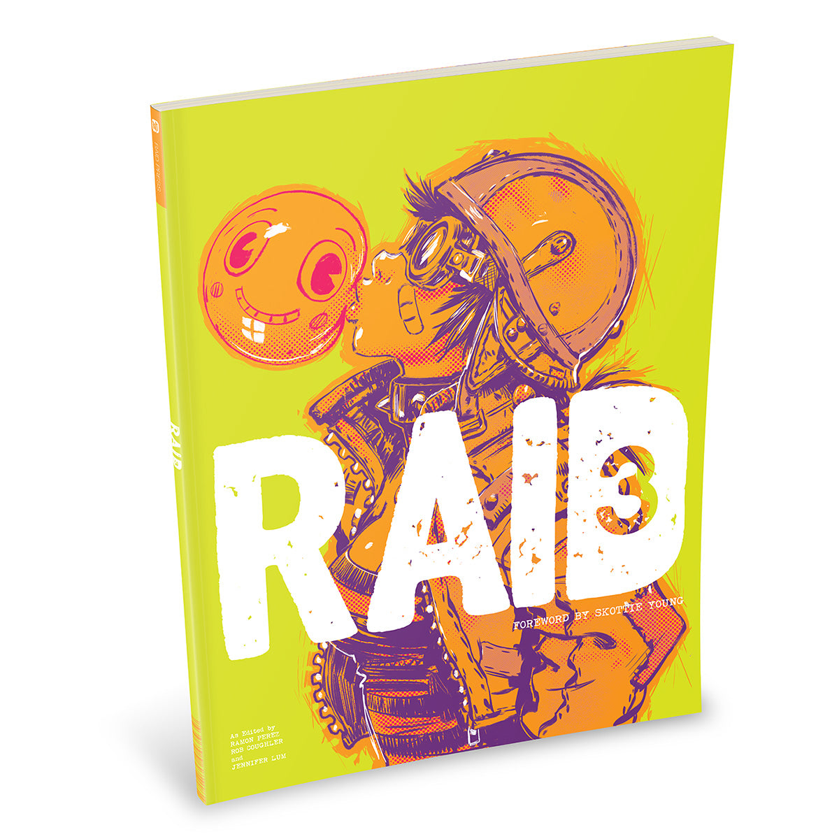 RAID 3