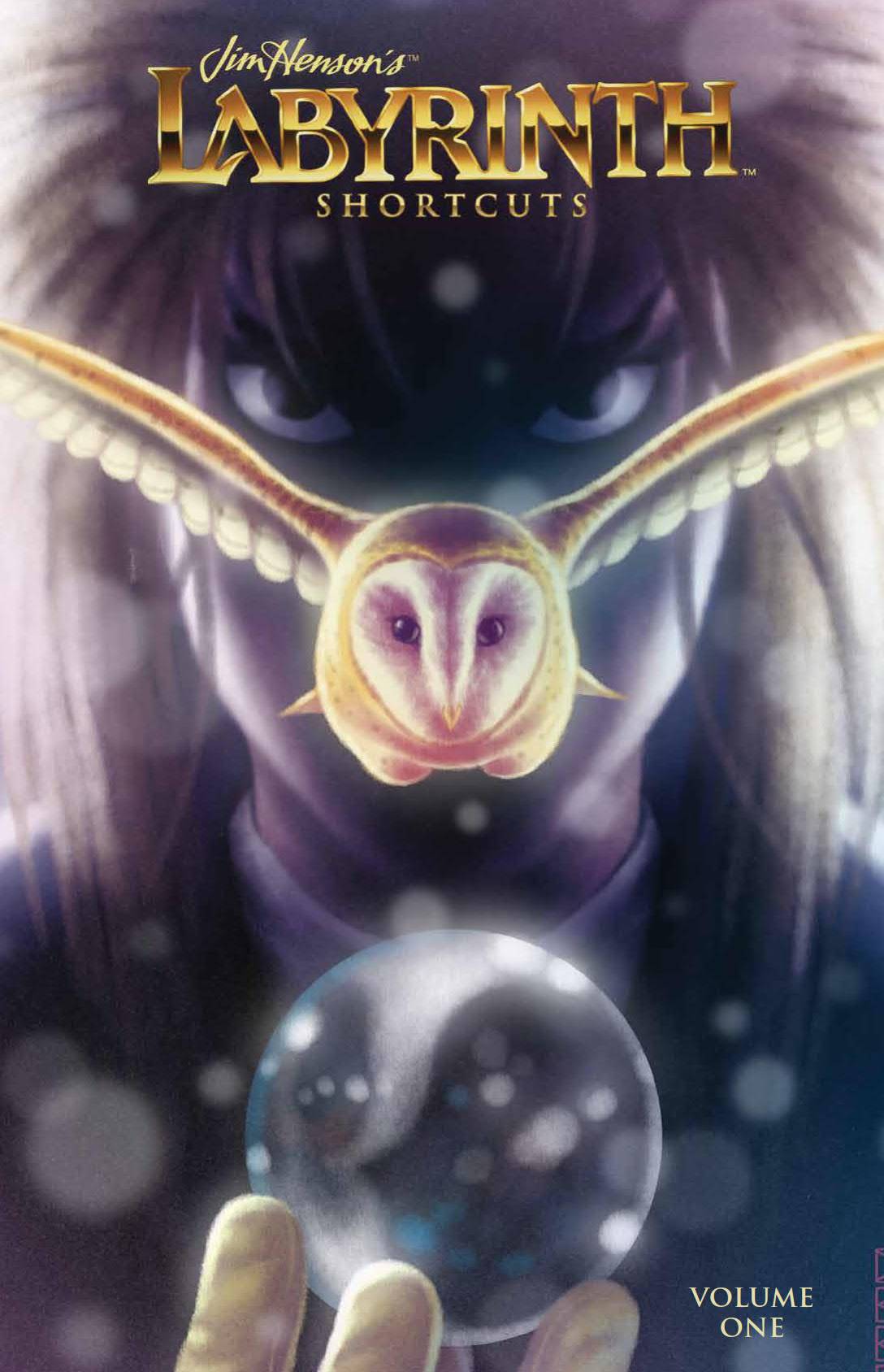 Labyrinth Shortcuts HC